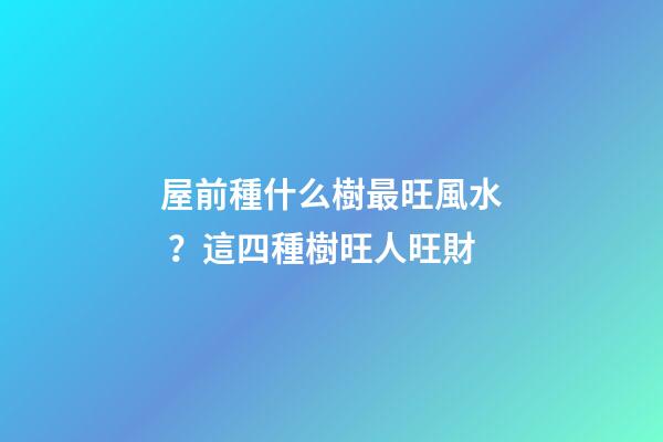 屋前種什么樹最旺風水？這四種樹旺人旺財